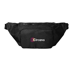 Large Crossbody Hip Pack